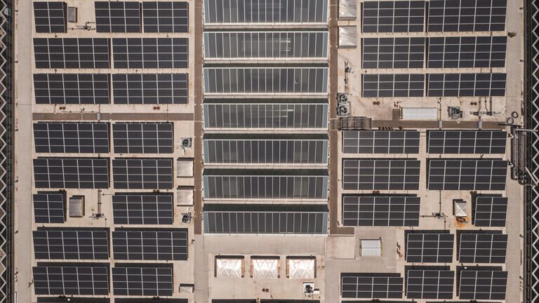 Panneaux solaires sur les locaux de son entreprise : rentable ou pas ?